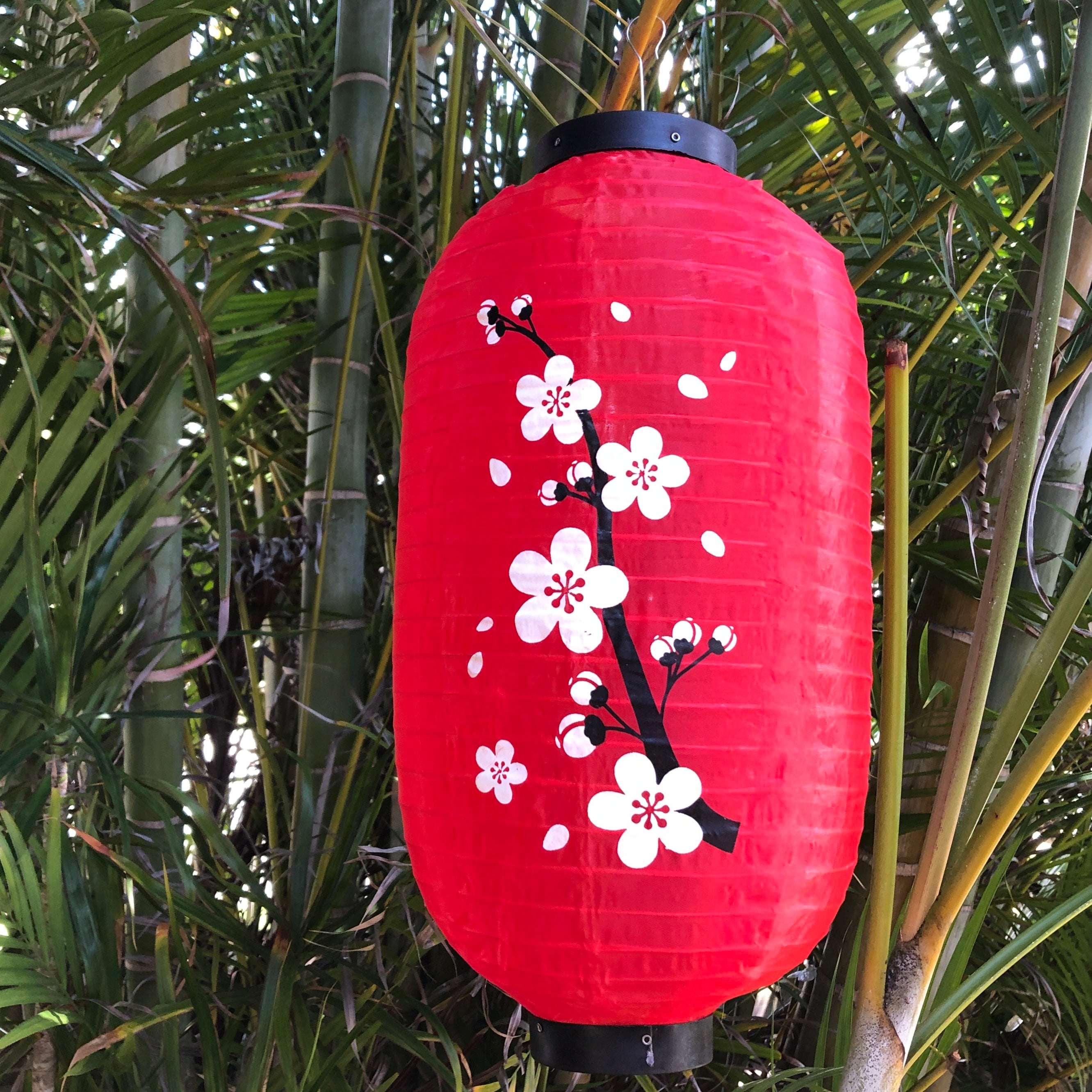 Cherry blossom lantern