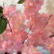 pink cherry blossom decoration