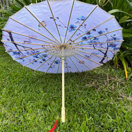 Chinese umbrella