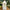 Large White LED Lantern with warm white fairy lights (13 x 31cm)