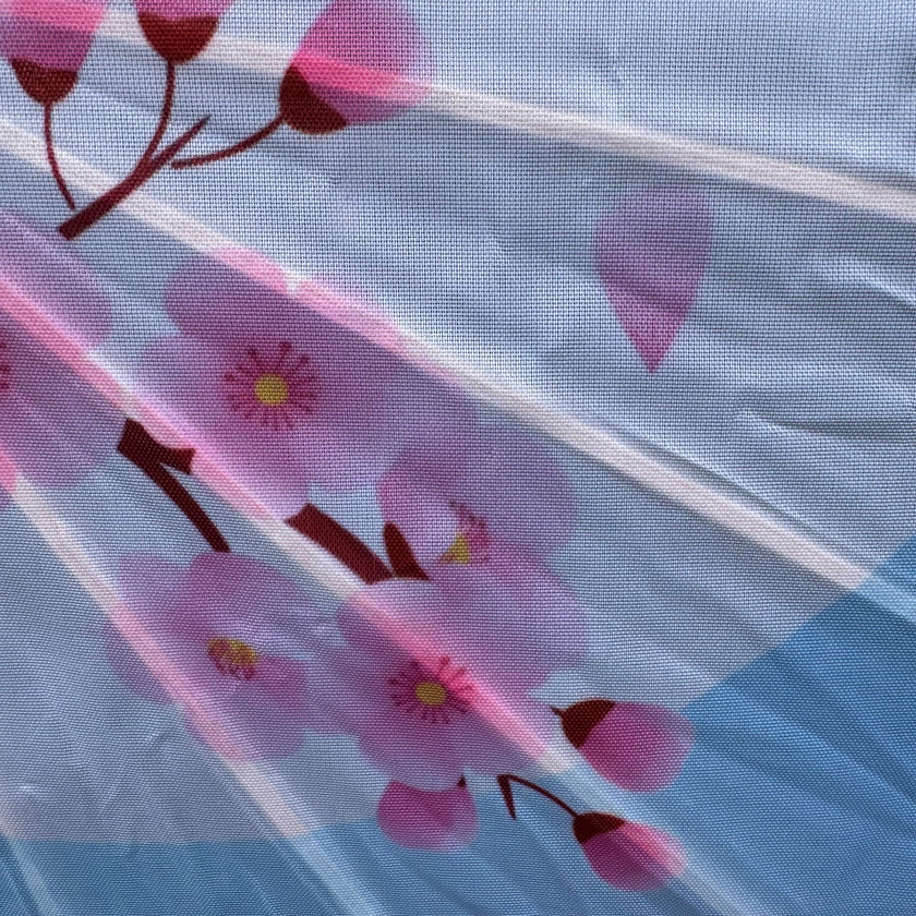 sakura blossom parasol