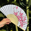 cherry blossom fan