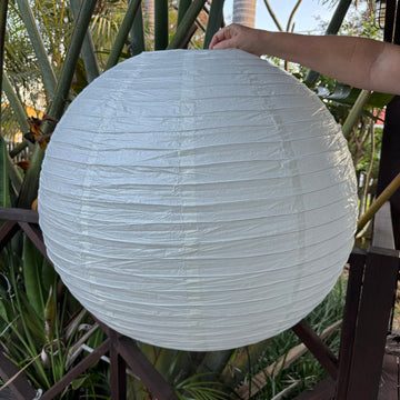 ivory paper lantern 