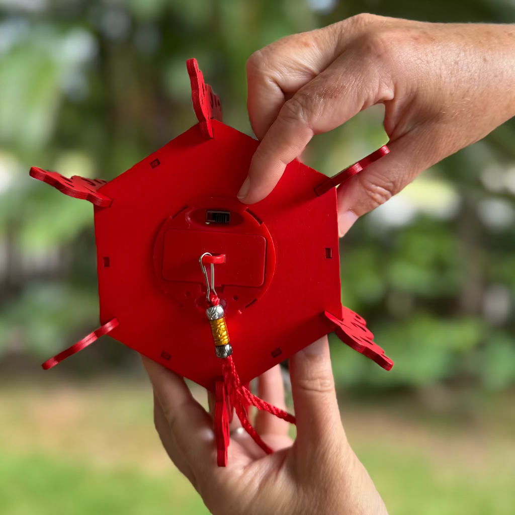 Chinese new year lantern showing hanging cord and battery box with switches