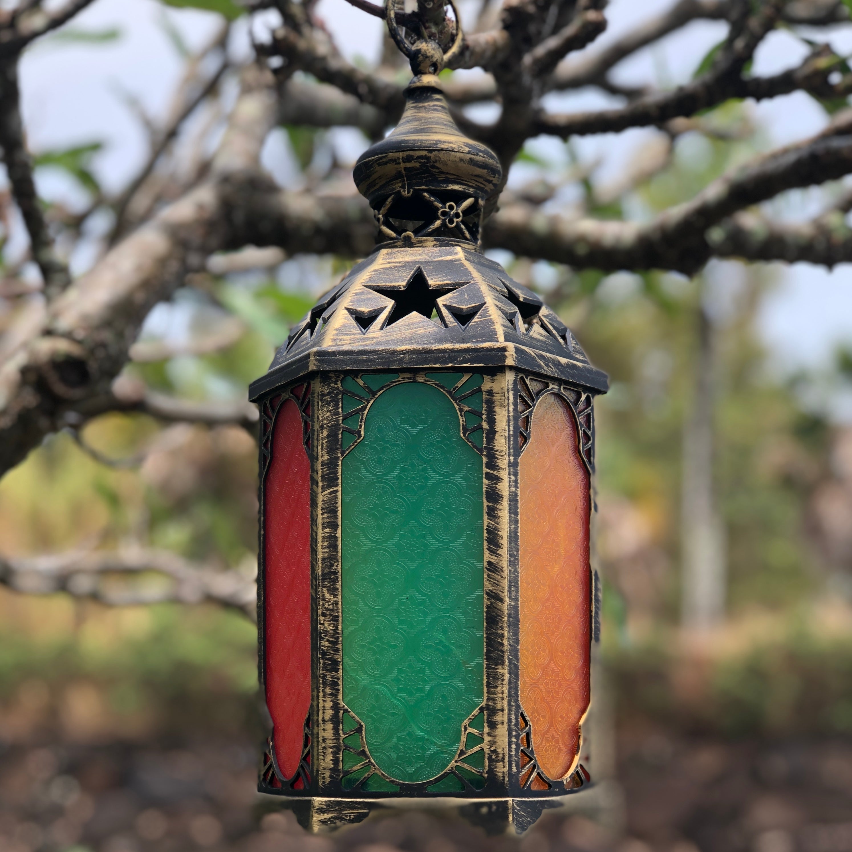 Moroccan lantern with decorative coloured panels hanging in tree