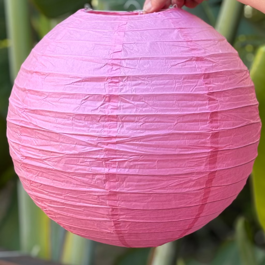 pink paper lantern