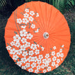 Chinese parasol