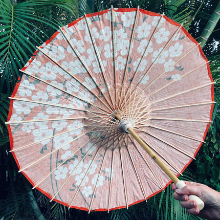 Chinese umbrella