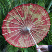 Chinese parasol