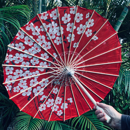 Chinese parasol