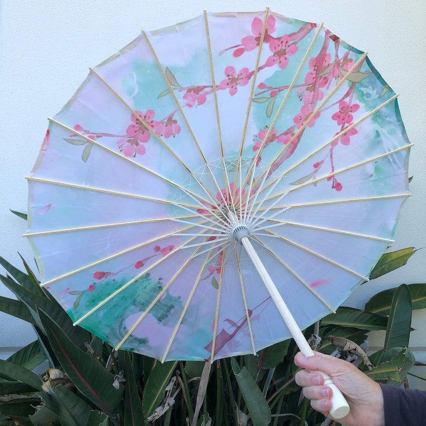 Chinese parasol