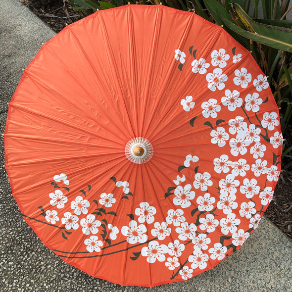 Chinese cherry blossom parasol