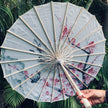 Chinese parasol