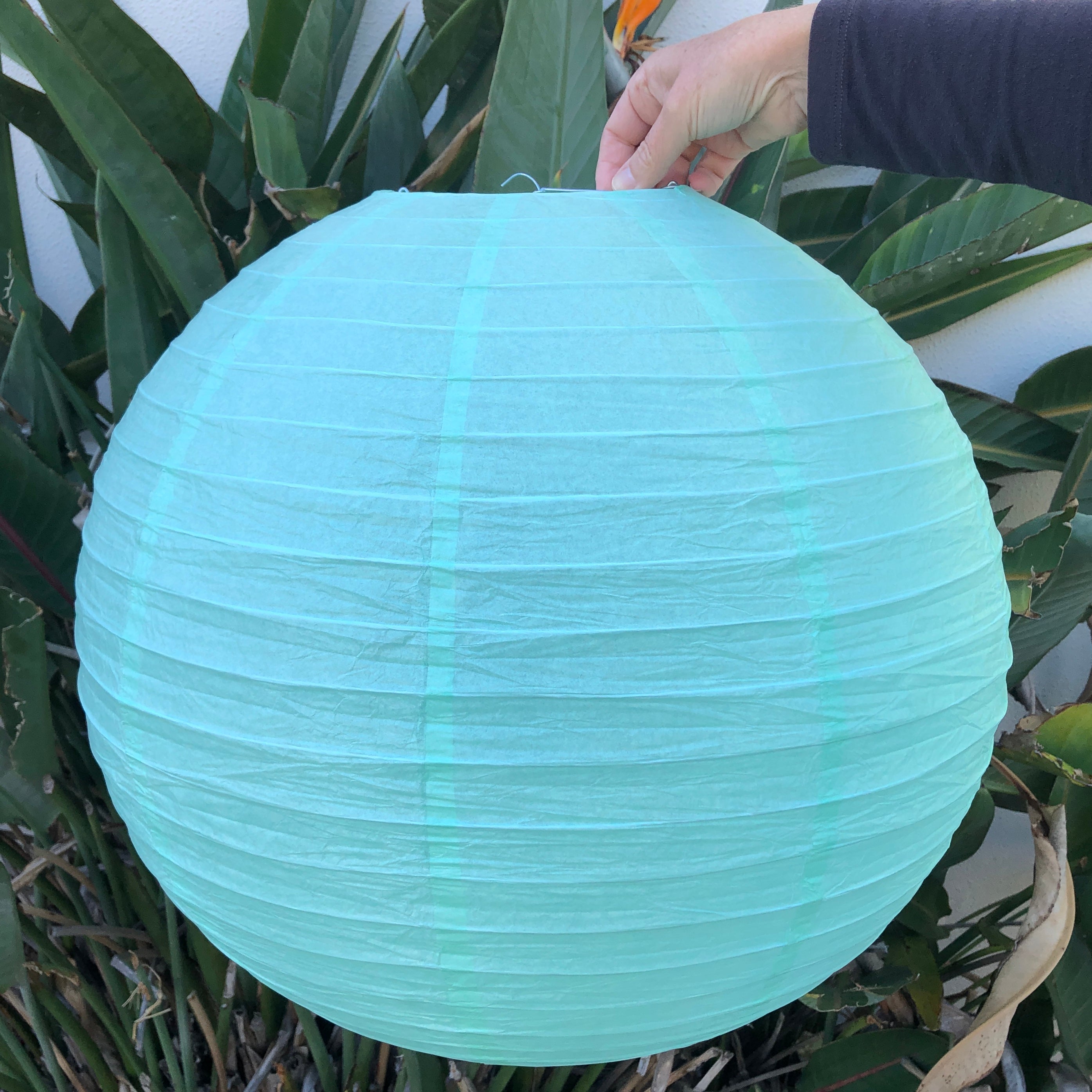 Teal paper best sale lanterns