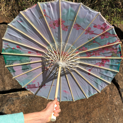 Chinese umbrella