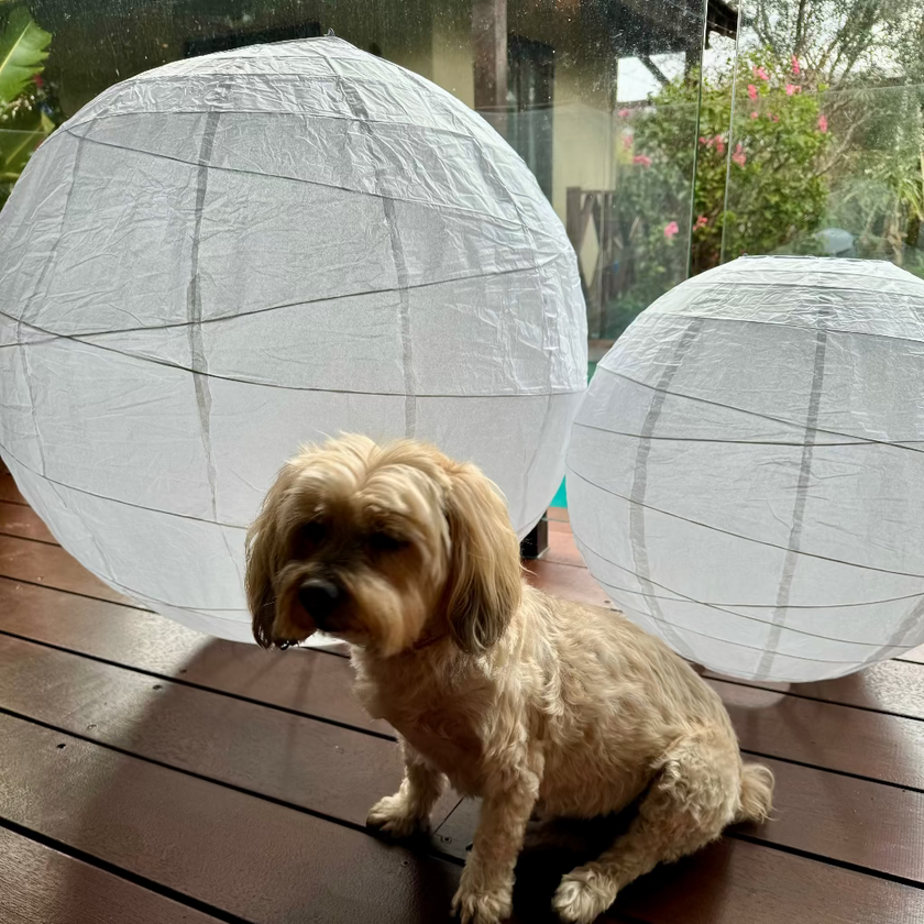 irregular ribbed white paper lanterns