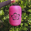 pink sakura lantern