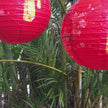 Chinese New Year lantern