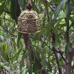 dragon wind chime