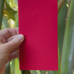 Chinese new year red envelope