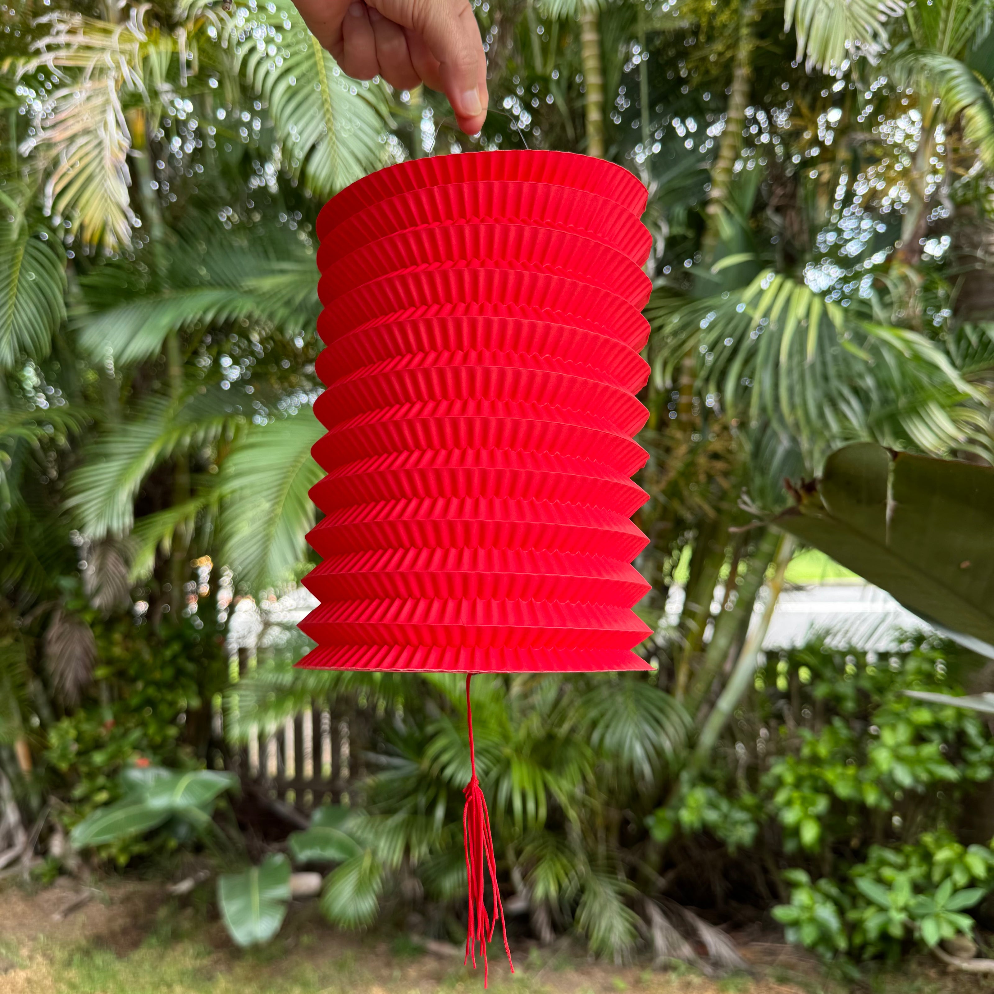 traditional hanging Chinese red paper lantern