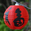 Chinese New Year lantern