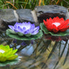 floating lotus flowers with candles