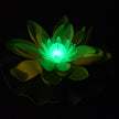 Lotus lantern