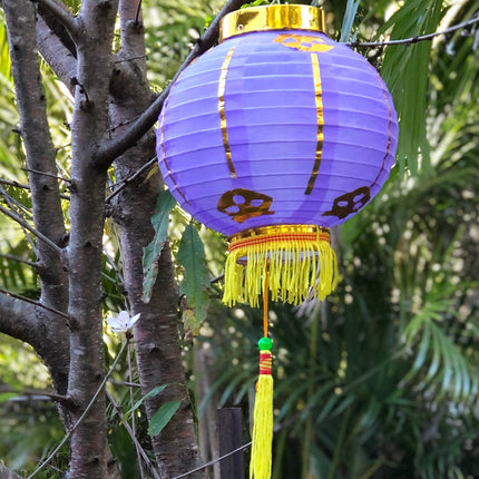 purple Chinese festival lantern