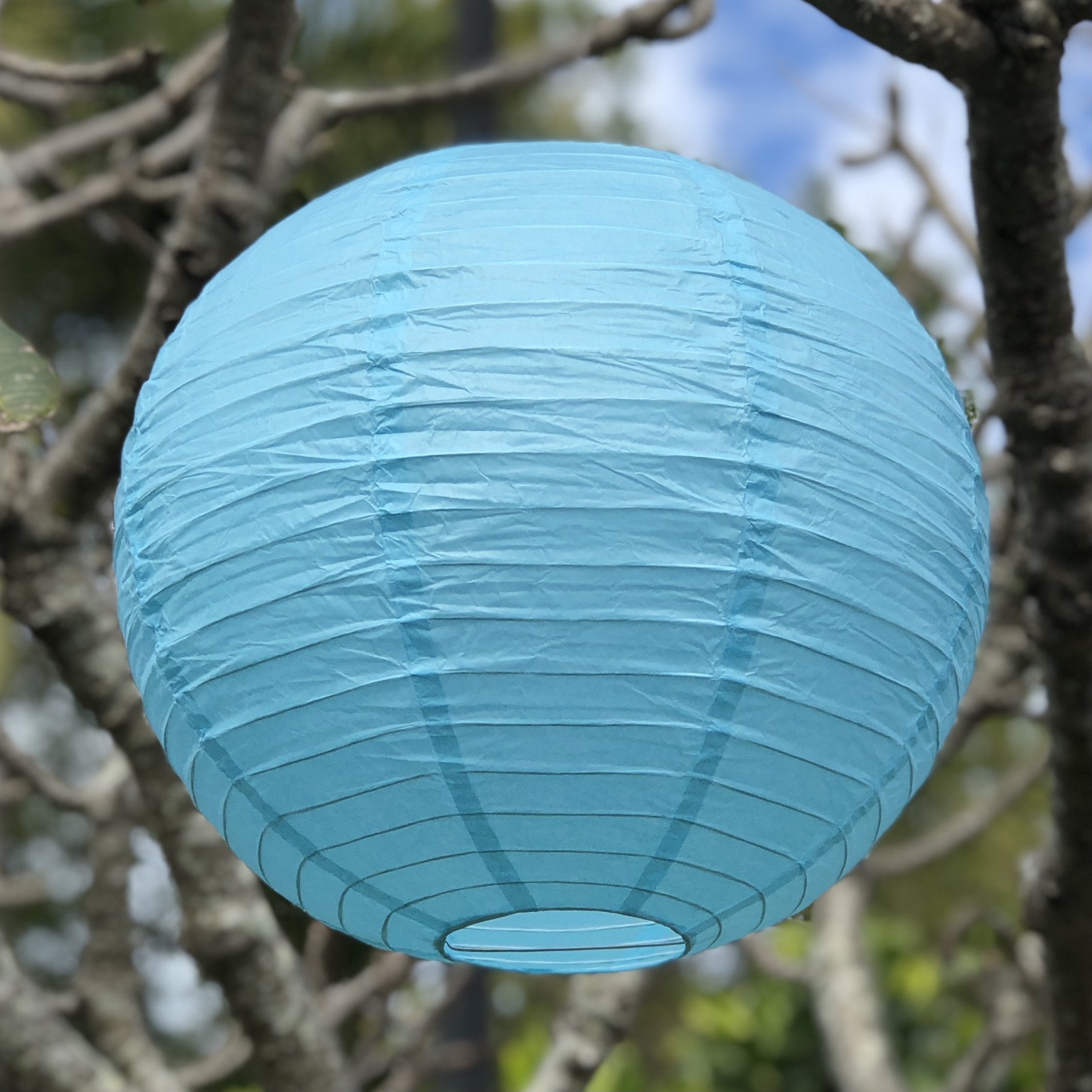 Teal paper best sale lanterns