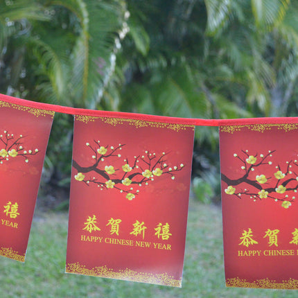 Chinese New Year decoration