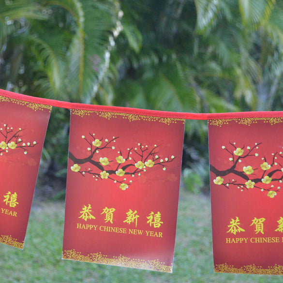 Chinese New Year decoration