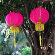 chinese lanterns