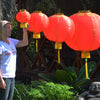 Chinese Lanterns 