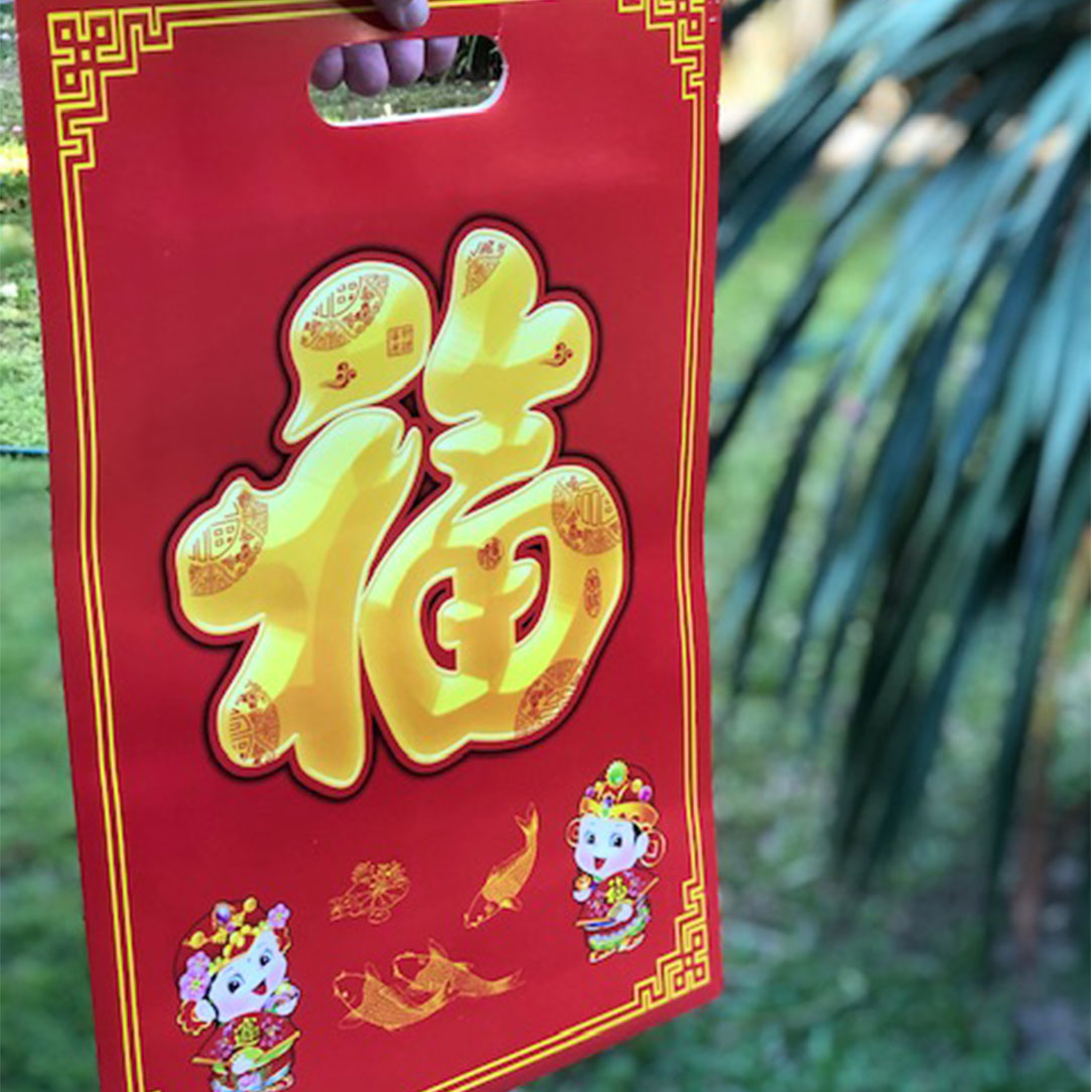 chinese new year