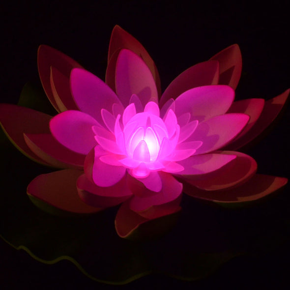 Lotus Lantern
