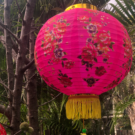 Chinese new year lantern