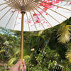 Chinese paper parasol - white cherry blossoms