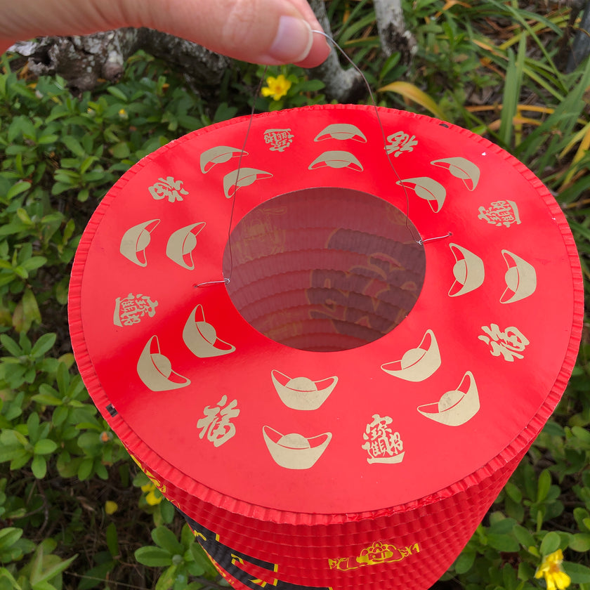 chinese new year lantern