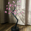cherry blossom tree light