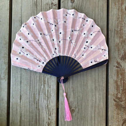 Chinese fan