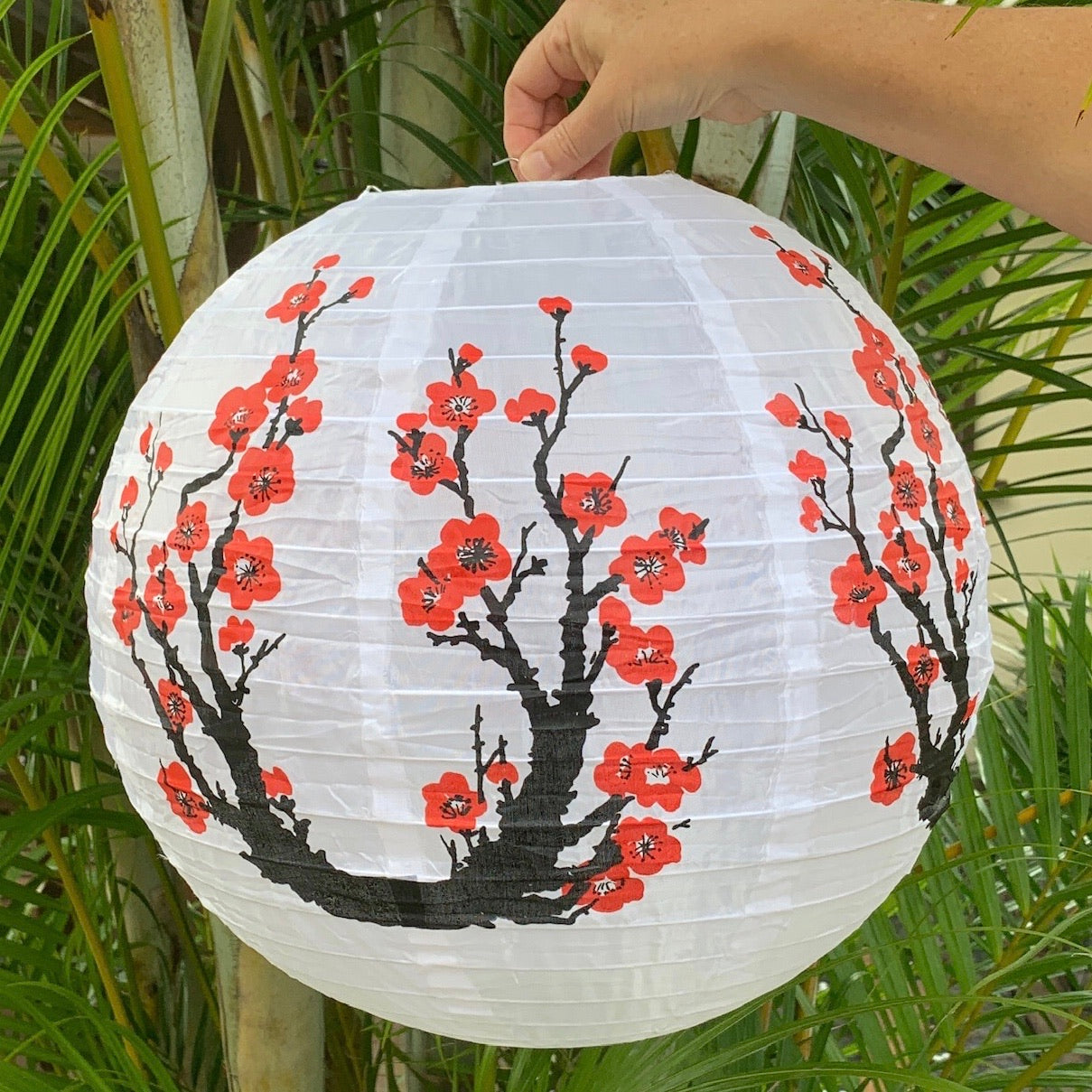 cherry blossom lantern