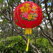 Chinese new year lantern