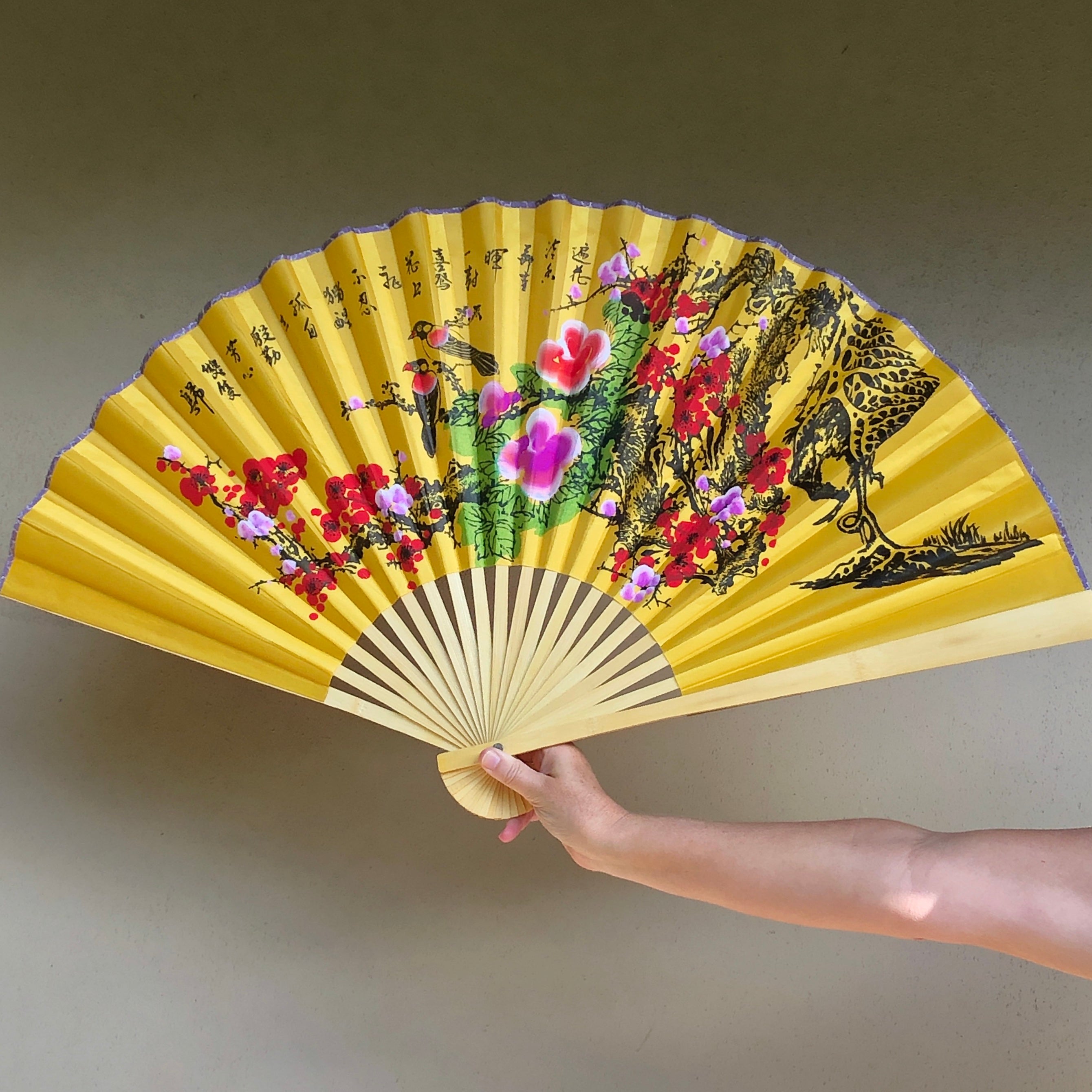 Chinese fan