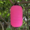 pink lantern