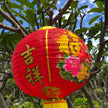 Chinese new year lantern