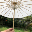 Chinese parasol