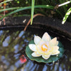 floating wedding decoration