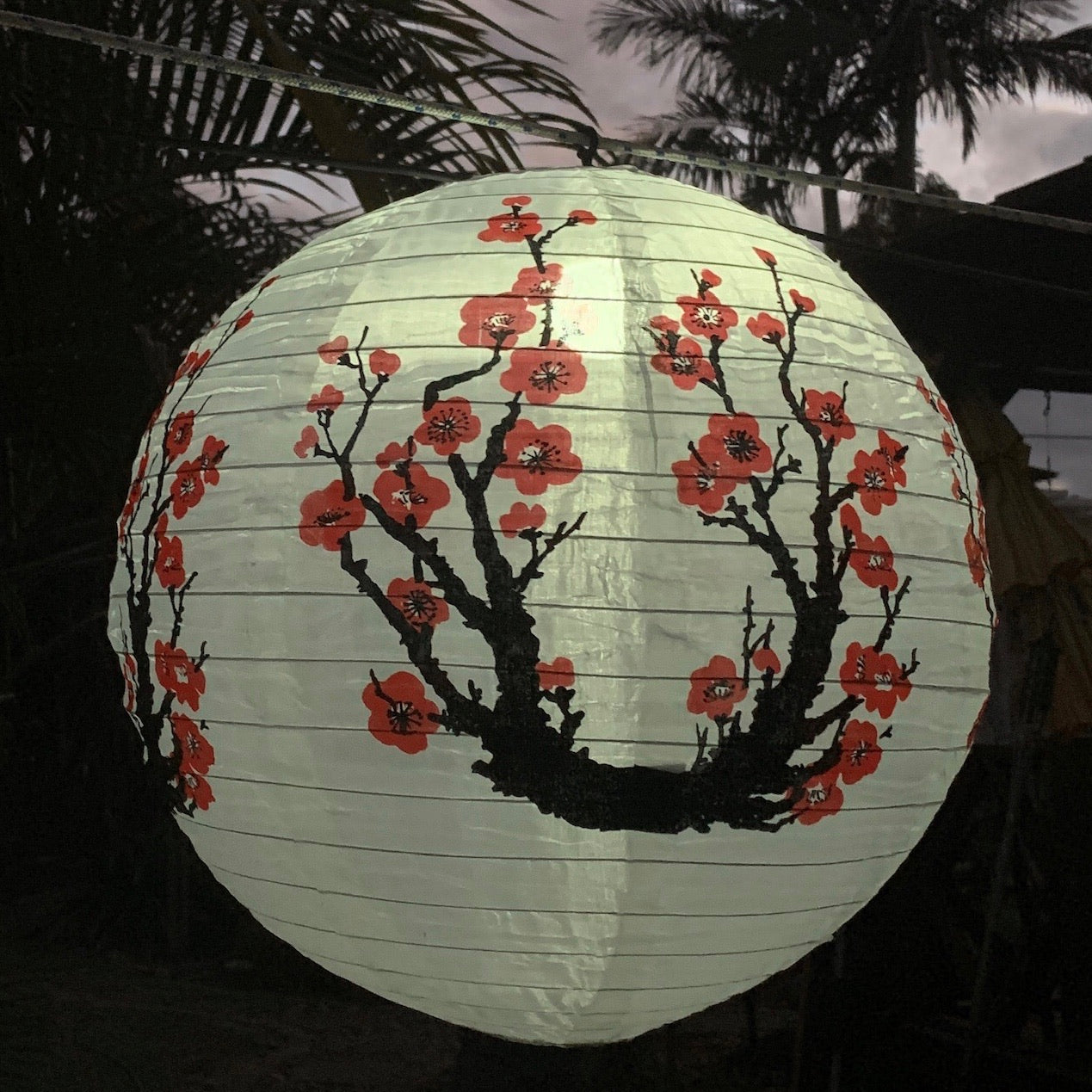 cherry blossom lantern