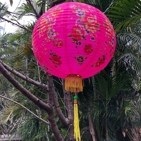 Chinese festival lantern